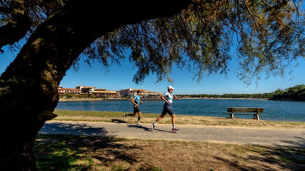 Extensive running tracks through the pine forest