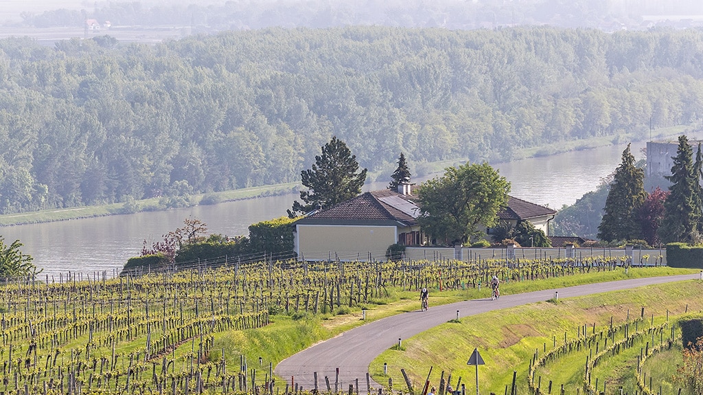 Participate in one of Europe’s oldest middle-distance races