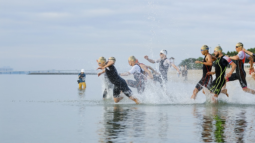 Perfect swimming conditions in sheltered waters