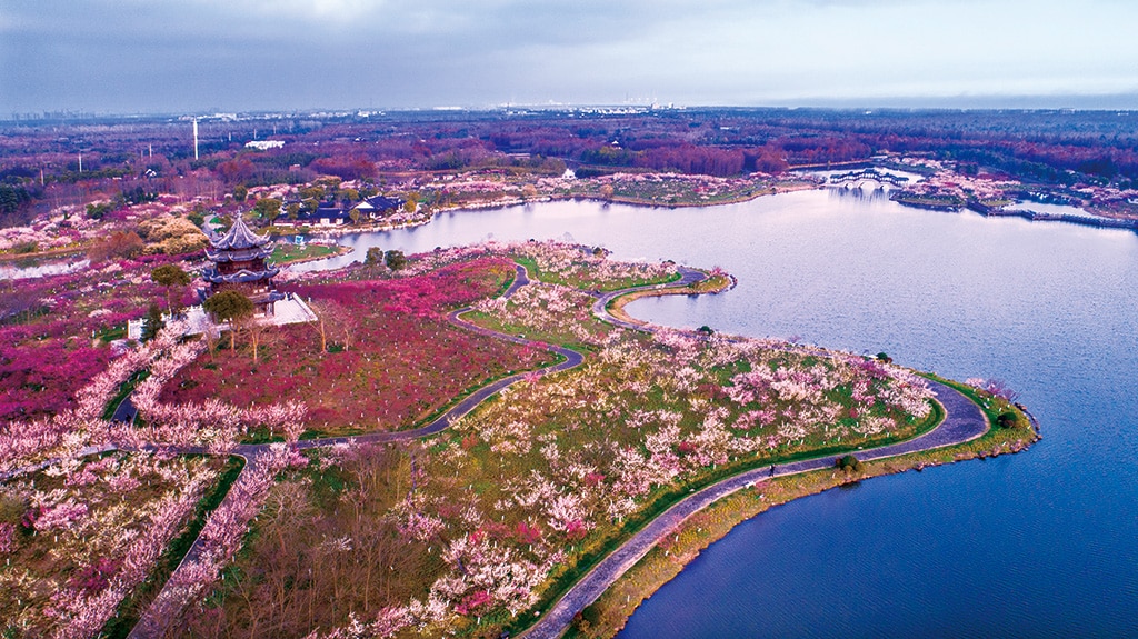 Discover Shanghai's outdoor sports paradise in the ecological hub of Haiwan Town