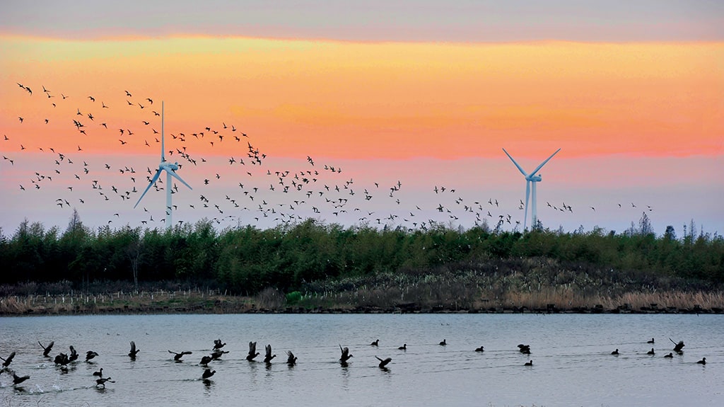 Enjoy perfect autumn racing conditions at Shanghai's premier coastal destination