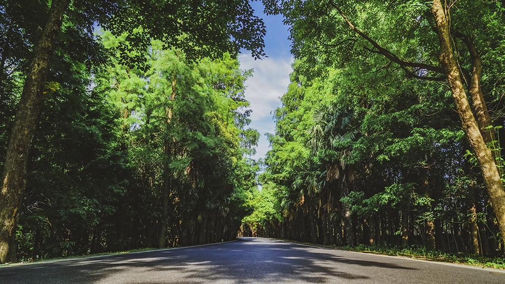 Experience a unique course integrating Shanghai's premier 4A-rated national forest and scenic parks