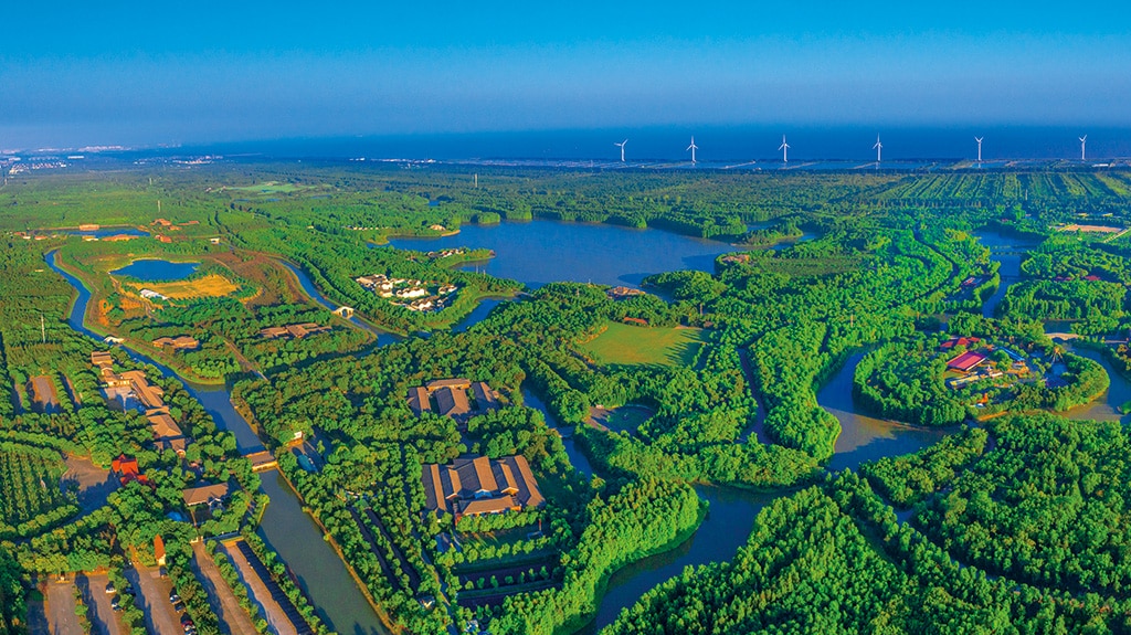 The only triathlon inside Shanghai's vast 'city green lung' and largest coastal forest