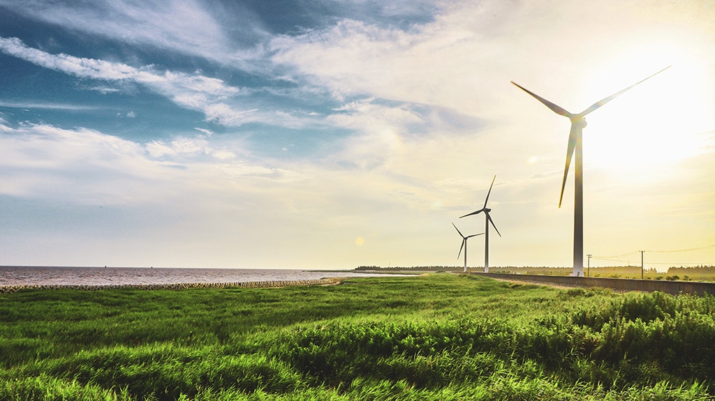 Race along the spectacular Shanghai Haiwan coastline on the north bank of Hangzhou Bay